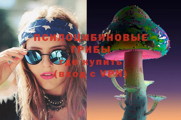 стаф Балахна